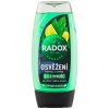 p2402942 radox men 3v1 osvezeni mentol a citrus sprchovy gel pro muze 225 ml 1 1 e1f2 264409