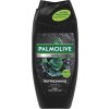 797020-Palmolive-Men-Refreshing-2v1-sprc