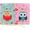 Vyškrabovací obrázky Sovička sešit 8 listů s nástrojem 2 druhy