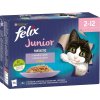 976424-Felix-Fantastic-Junior-kapsicky-p