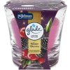 773129-glade-winter-beries