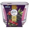 773155-glade-winter-berries-velka-svicka