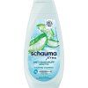 855327-schauma-anti-dandruff-sensitive-sampon