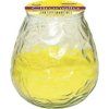 962006-citronella-zahradni-1ks