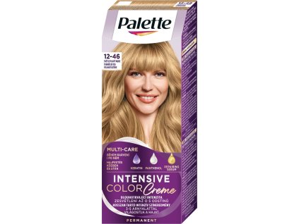 Schwarzkopf Palette Intensive Color Creme hajfesték BW12 12-46