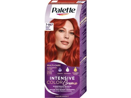 Schwarzkopf Palette Intensive Color Creme hajfesték RV6 7-887