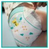 2561 4 pampers active baby 5 150ks 11kg 16kg