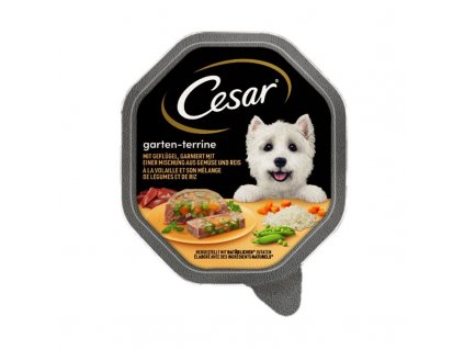 cesar garden terrine jemna pasteta pre psy 150 g