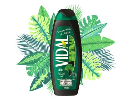 vidal ginko e menta sprchovy gel a pena do kupela 500 ml