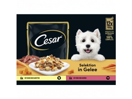 cesar seleektion in gelee multibalnnei pasteta pre psy 12 x 100 g