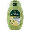 felce azzurra bio the verde e zenzero sprchovy gel 250 ml