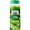 Gallus SG 500ml Lemon Grass Extract