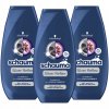 schauma vlasovy sampon blond silver reflex 3 ks