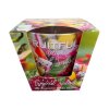 vonna svicka 30h tropical salad mix of exotic fresh fruits