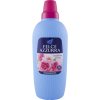 775264 felce azzurra rosa a fiori di loto avivaz 2l 30davek