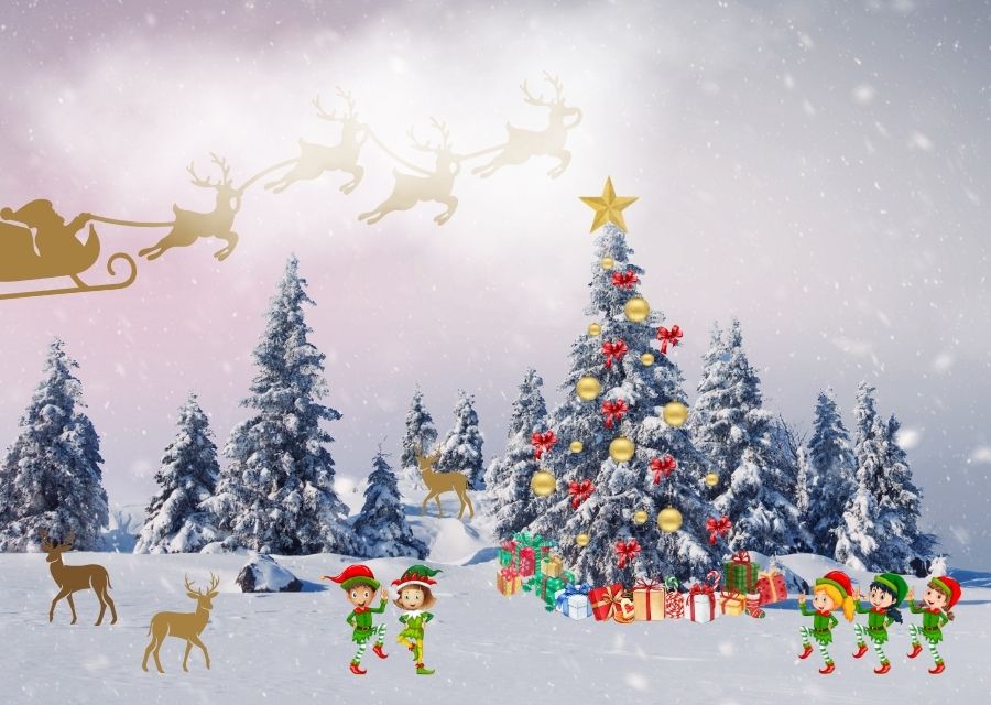 VIANOČNÉ PRIANIE + PF 2026