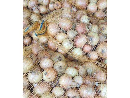 cibule zluta 1769x2048