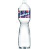Poděbradka lesní plody 1,5l