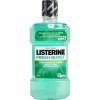 55413 listerine 500ml fresh burst