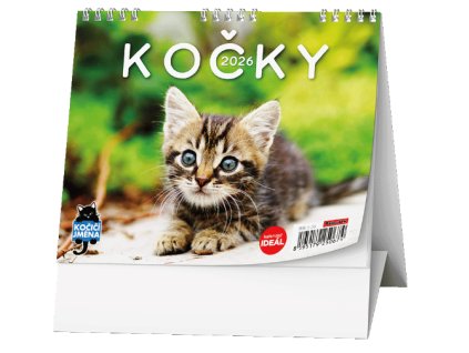 Screenshot 2025 02 28 093346