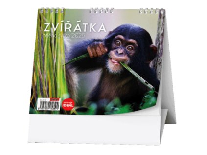 Screenshot 2025 02 28 093346