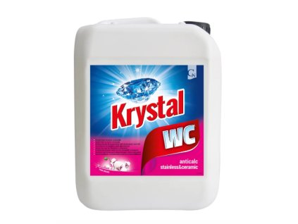 Snímek obrazovky 2026 02 17 145939