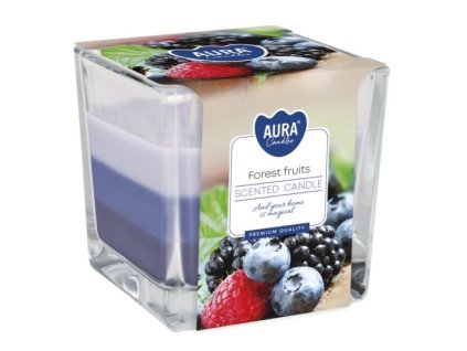 Aura Bispol Forest Fruits vonná sviečka 170g
