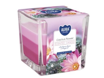Aura Bispol Cactus Flower vonná sviečka 170g