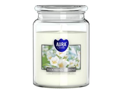 Aura Bispol Blooming Jasmine vonná sviečka 500g