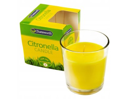 citronella v skle