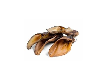 susene hovadzie ucho so zauskom 16 22cm