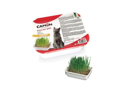 camon trava pre macky zo psenice 130g