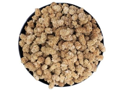 z67c04fbee0f02 morusa susena 2