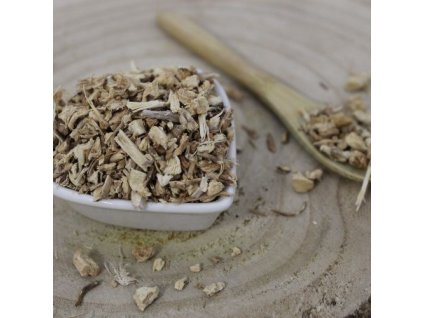 766f9243219868 listnatec pichlavy koren rezany ruscus aculeatus