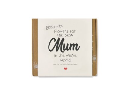 2662b8f8379305 semienkove bomby darcekova sada stredna pre najlepsiu maminku blossombs 9ks