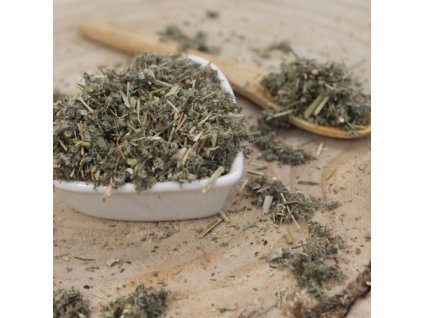 46644b6384b2d4 natrznik strieborny vnat narezana potentilla argentea herba potentillae argentii