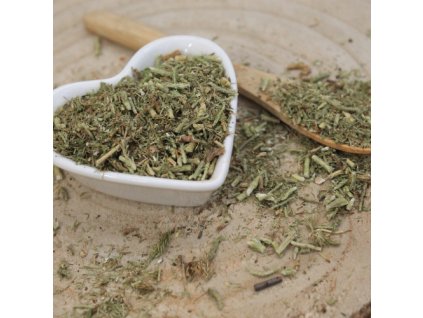 d6644b8d6301d9 plavun obycajny vnat narezana lycopodium clavatum herba lycopodii