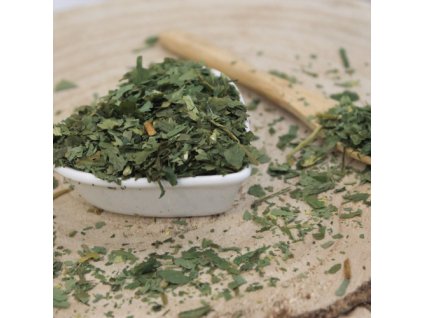 e6644af9a0213e medvedi cesnak list narezany allium ursinum folium allii ursini