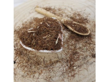 w661d2b231506a kukurica siata blizny narezane zea mays stigmata maidis