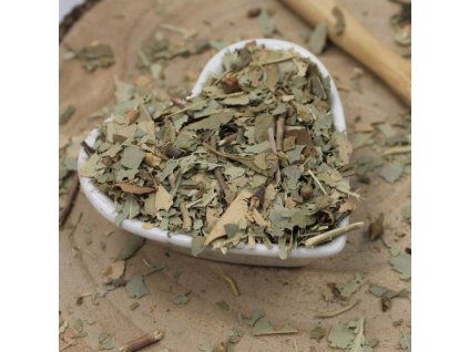 b64e31910bb619 eukalyptus list narezany eucalyptus globulus labill 1