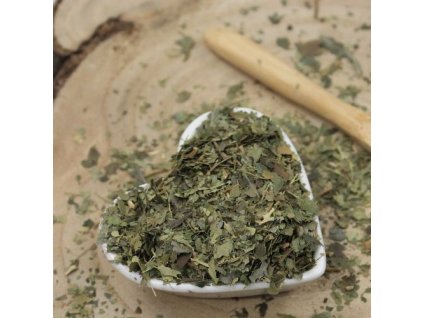 z64da743648c2c brectan list narezany hedera helix cs