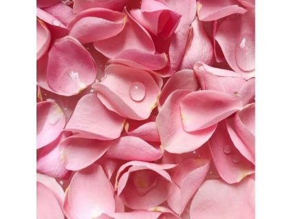 b647f68c20dc2f bio ruzova voda damascena koncentrat 0 10