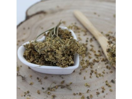 t64d09a8fa9bbd baza cierna kvet sambucus nigra l