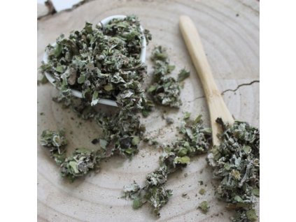 464d099cb6ca16 podbel list suseny tussilago farfara l