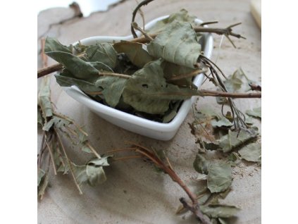 q64d0960d2e21c narezany sumach rhus coriaria 1