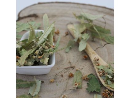 564b6955561f10 lipa kvety tiliae flos 1