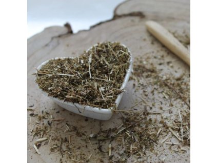 x64cff39a01bd7 palina rocna artemisia annua 1