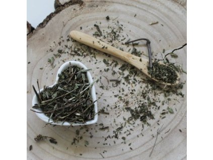 l64cfef5a748e5 mata mentha spicata