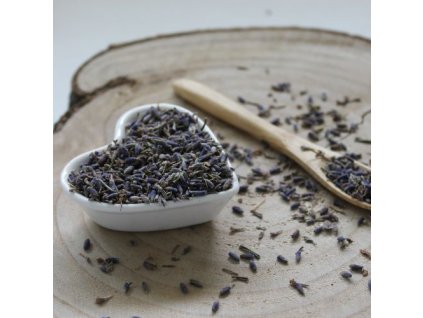 864b0fdea824ea levandula alpine lavandula angustifolia 1