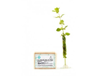 a6514204d86aa9 pevne mydlo mata